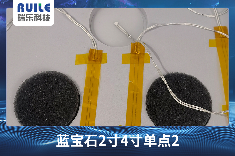【無線晶圓測溫系統(tǒng)】